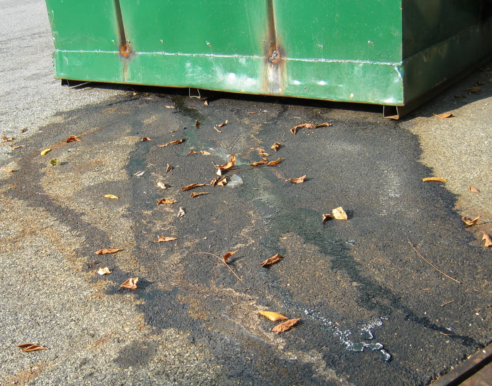 Liquid leaking from a dumpster onto the pavement